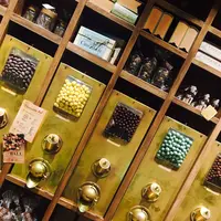 東急プラザ銀座の写真・動画_image_257163