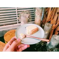 Bird 代官山（バード）の写真・動画_image_257166