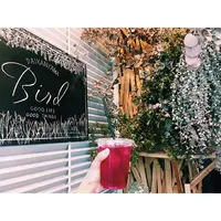 Bird 代官山（バード）の写真・動画_image_257167