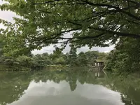 兼六園の写真・動画_image_257274