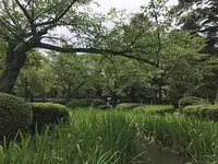 兼六園の写真・動画_image_257276