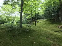 兼六園の写真・動画_image_257279