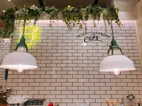 ザ カップス MEIEKI （THE CUPS） の写真・動画_image_257384
