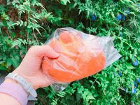 【閉業】神楽坂 亀井堂の写真・動画_image_257643