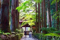 光前寺の写真・動画_image_257713