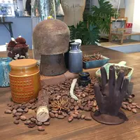 Artichoke chocolateの写真・動画_image_258268