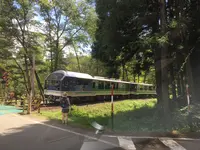 塔のへつりの写真・動画_image_258316