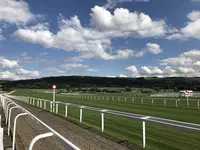 チェルトナム・レースコースの写真・動画_image_258490