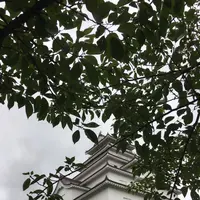 鶴ヶ城（若松城）の写真・動画_image_258854