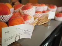 フルーツパーラーゴトーの写真・動画_image_259685
