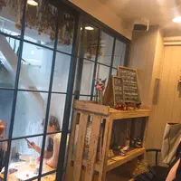 タジマジ （Taji Maji）の写真・動画_image_259914