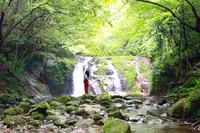 花貫渓谷の写真・動画_image_260214
