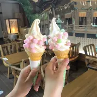 金刀比羅宮（こんぴらさん）の写真・動画_image_260510