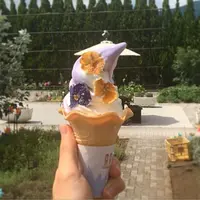 自然工房石ころ館の写真・動画_image_260564