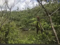 【閉業】カフェ七色の風の写真・動画_image_260727