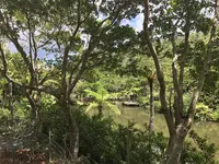 【閉業】カフェ七色の風の写真・動画_image_260728