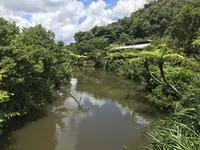 【閉業】カフェ七色の風の写真・動画_image_260731