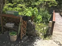 【閉業】カフェ七色の風の写真・動画_image_260732