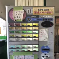 キングタコス 長田店の写真・動画_image_260763