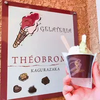 ジェラテリア テオブロマの写真・動画_image_261088