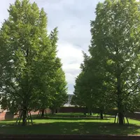 道の駅 神戸フルーツ・フラワーパーク大沢の写真・動画_image_261175