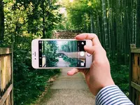 とらや工房の写真・動画_image_261954