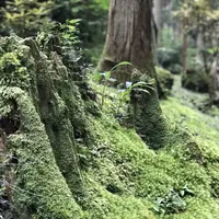 御岩神社の写真・動画_image_262197