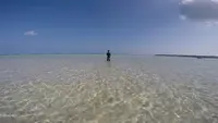 百合ヶ浜の写真・動画_image_262221