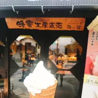 花の道 出雲大社店の写真・動画_image_262548