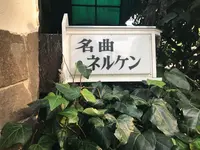ネルケンの写真・動画_image_262561