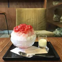 バー・ジンガロ（Bar Zingaro）の写真・動画_image_262576
