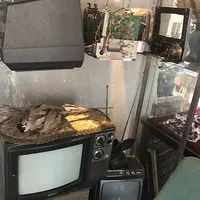 äotori 碧鳥 /Qotori film inc.の写真・動画_image_263332