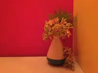 LOTUS（ロータス）の写真・動画_image_263337