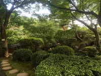 等々力渓谷の写真・動画_image_263369