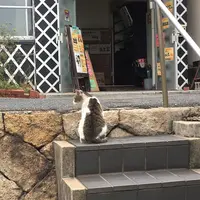 鞆の浦の写真・動画_image_263791