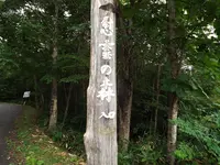 慰霊の森の写真・動画_image_263848