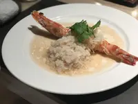 ミモザ （MIMOSA）の写真・動画_image_264311