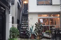 mimet （ミメ）の写真・動画_image_264559