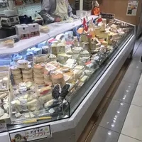 チーズ王国の写真・動画_image_264770