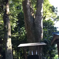 久能山東照宮の写真・動画_image_265178