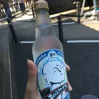 長谷寺の写真・動画_image_265450