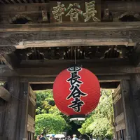 長谷寺の写真・動画_image_265451