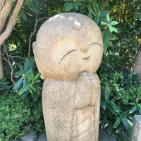 長谷寺の写真・動画_image_265453