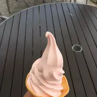 パヴァリエ ローズマインド福山 上りの写真・動画_image_265498