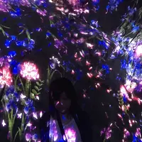 御船山楽園の写真・動画_image_265508