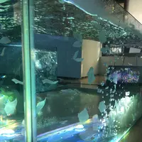 ギャラリー同潤会 gallery dojunkaiの写真・動画_image_266239