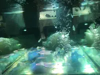 ギャラリー同潤会 gallery dojunkaiの写真・動画_image_266240