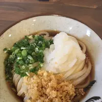 よがなうどんの写真・動画_image_266334