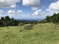 隠岐の島町沿岸の写真・動画_image_266468