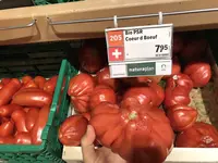 チューリッヒの写真・動画_image_266850